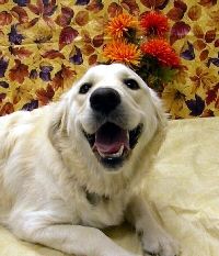 Aspen Thanks 10.jpg